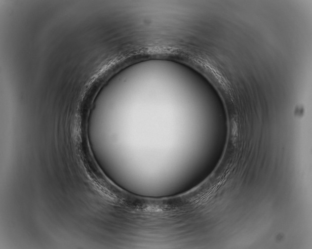 X0000101180684200806271252