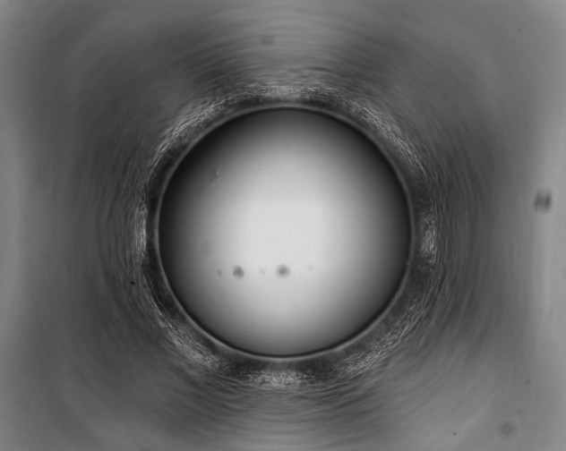 X0000101180685200806271252