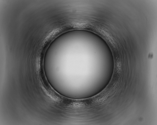 X0000101180686200806271252