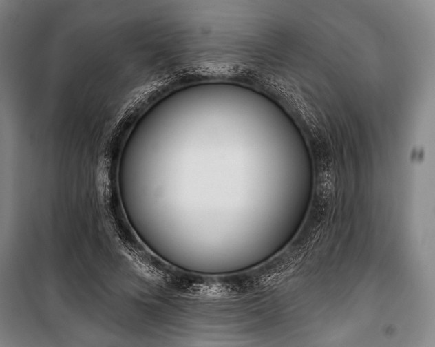 X0000101180688200806271252
