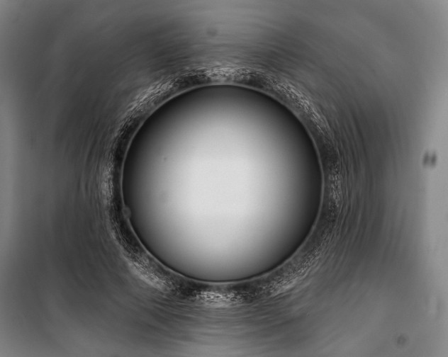 X0000101180690200806271252