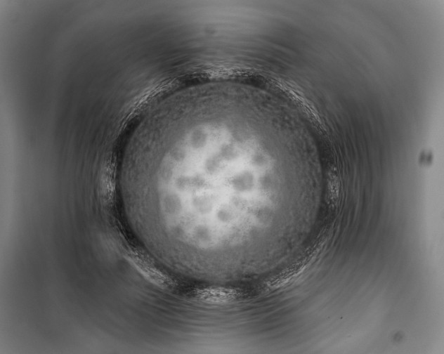 X0000101180691200806271252