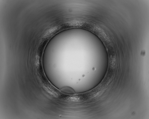 X0000101180692200806271252