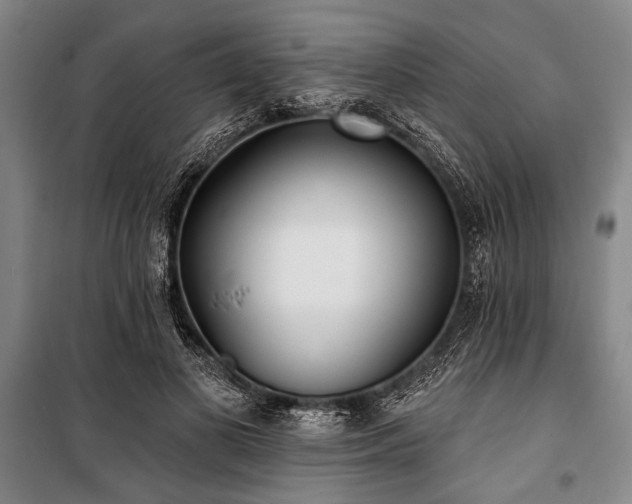 X0000101180693200806271252