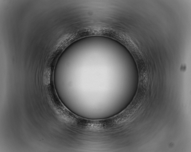 X0000101180694200806271252