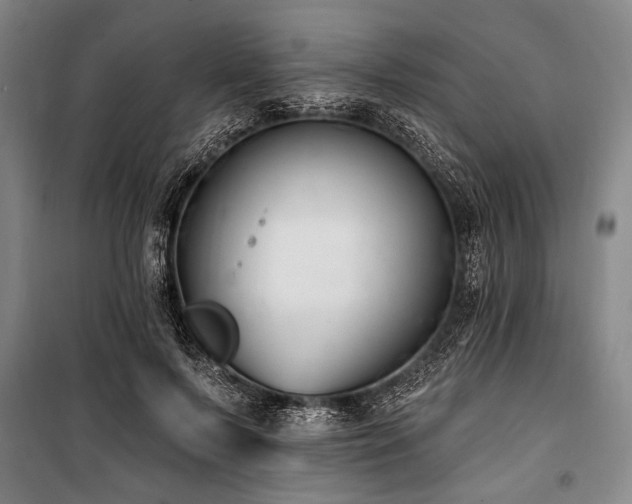 X0000101180695200806271252