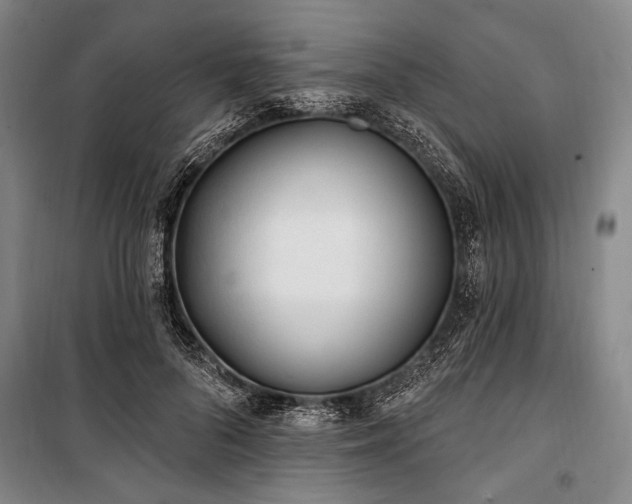X0000101180696200806271252