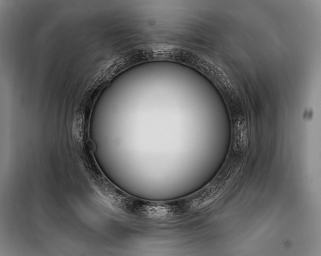 X0000101180698200806271252