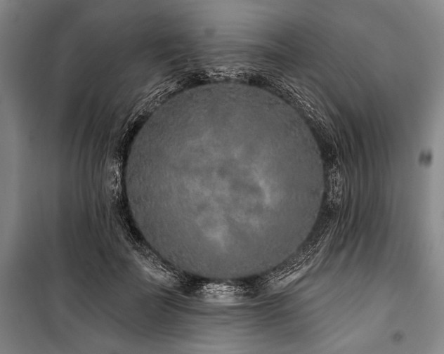 X0000101180699200806271252