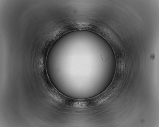 X0000101180700200806271252