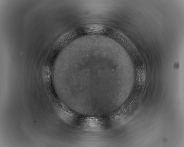 X0000101180701200806271252