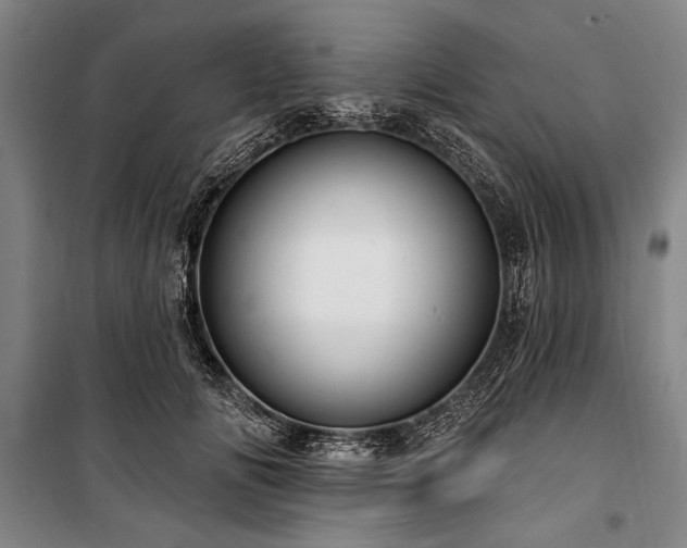 X0000101180702200806271252