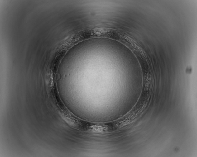 X0000101180703200806271252