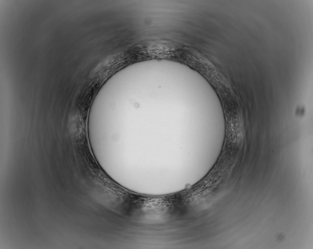 X0000101180705200806271252