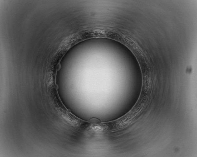 X0000101180706200806271252