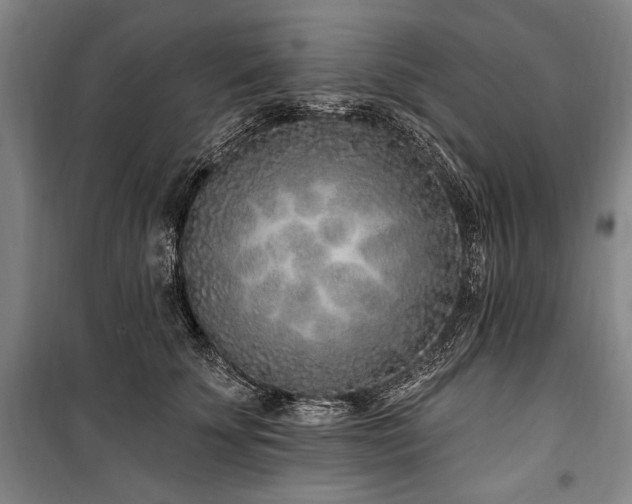 X0000101180707200806271252