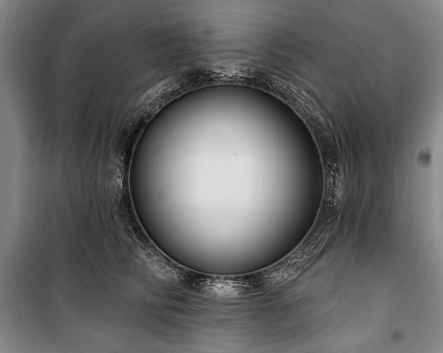 X0000101180710200806271252