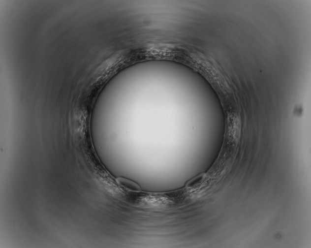 X0000101180712200806271252