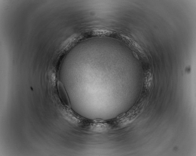 X0000101180716200806271252