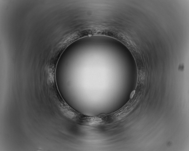 X0000101180719200806271252