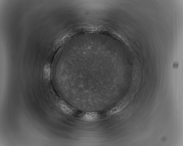 X0000101180720200806271252