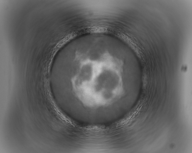 X0000101180721200806271251