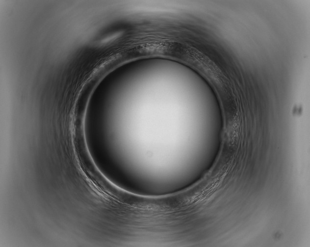 X0000101180722200806271251