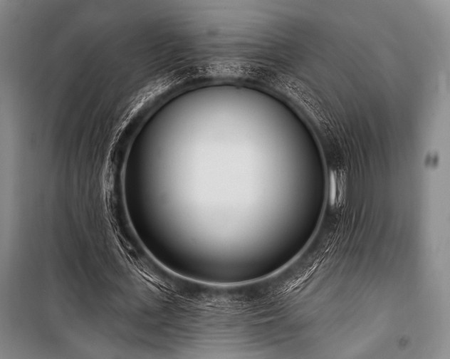 X0000101180723200806271251