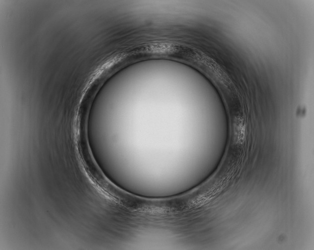 X0000101180726200806271251