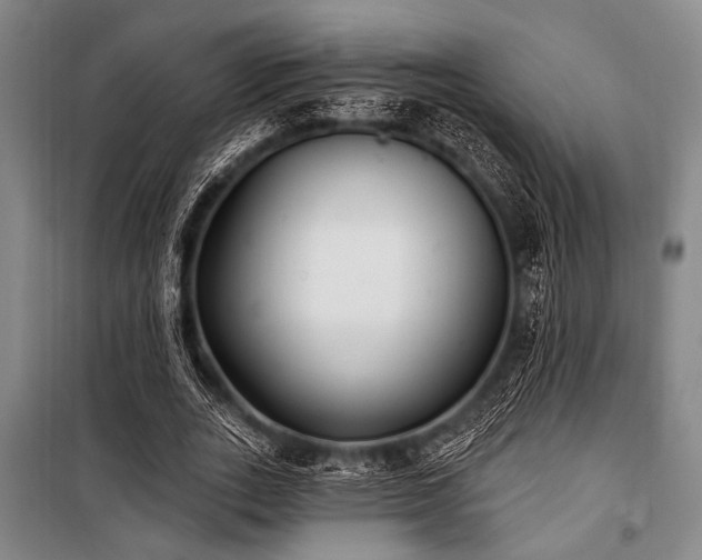 X0000101180727200806271251