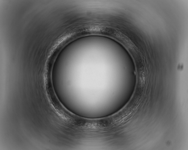 X0000101180728200806271251