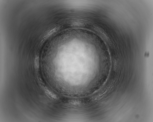X0000101180729200806271251