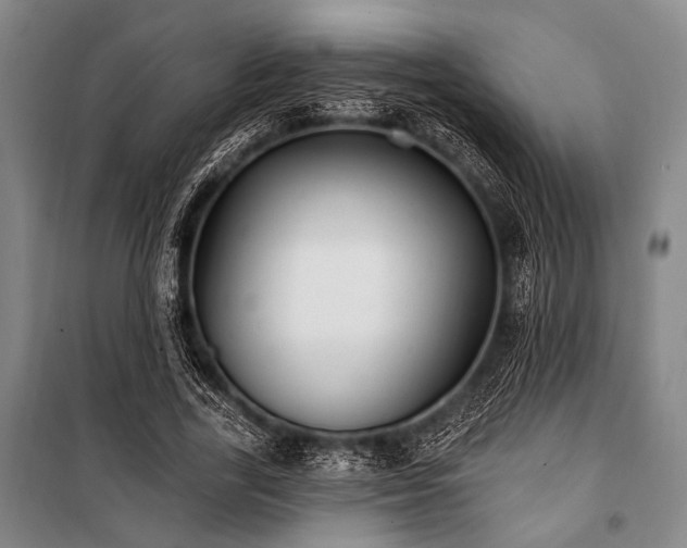 X0000101180731200806271251