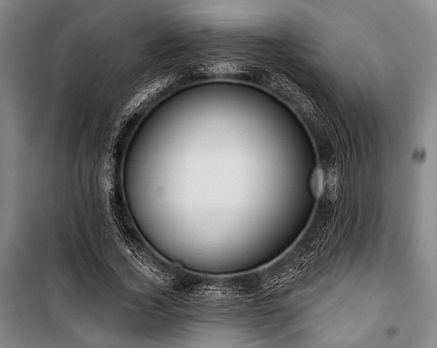 X0000101180732200806271251