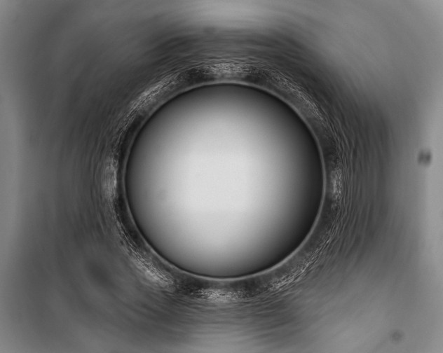 X0000101180733200806271251