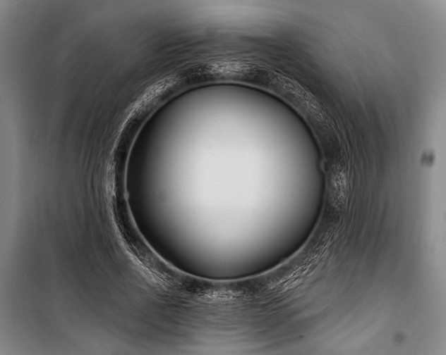 X0000101180734200806271251