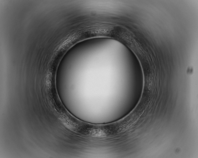 X0000101180735200806271251