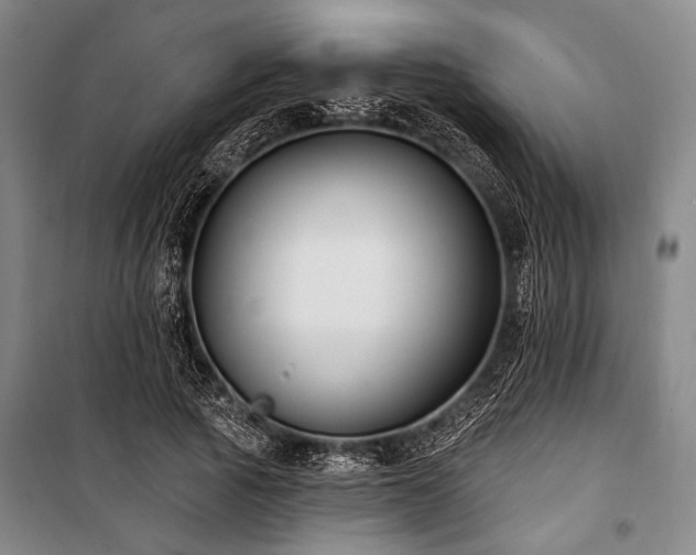 X0000101180737200806271251