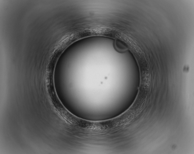 X0000101180738200806271251