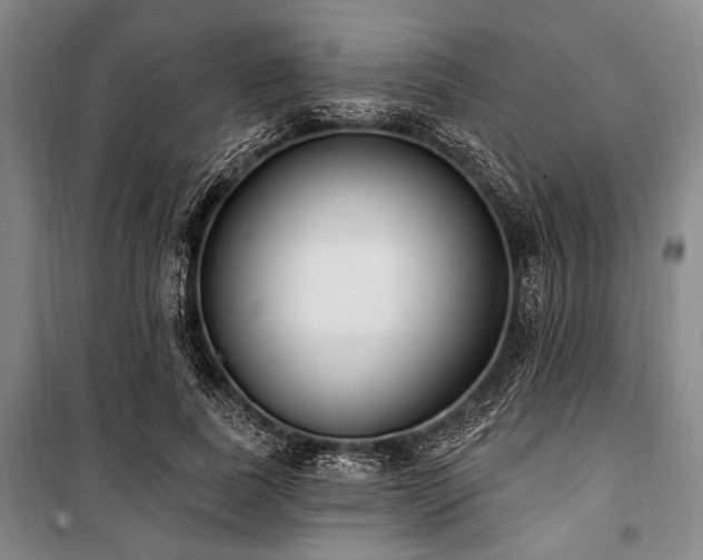 X0000101180739200806271251
