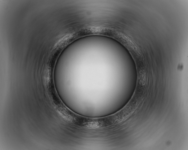 X0000101180740200806271251