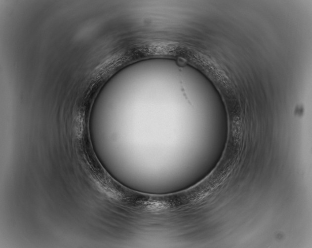 X0000101180741200806271251