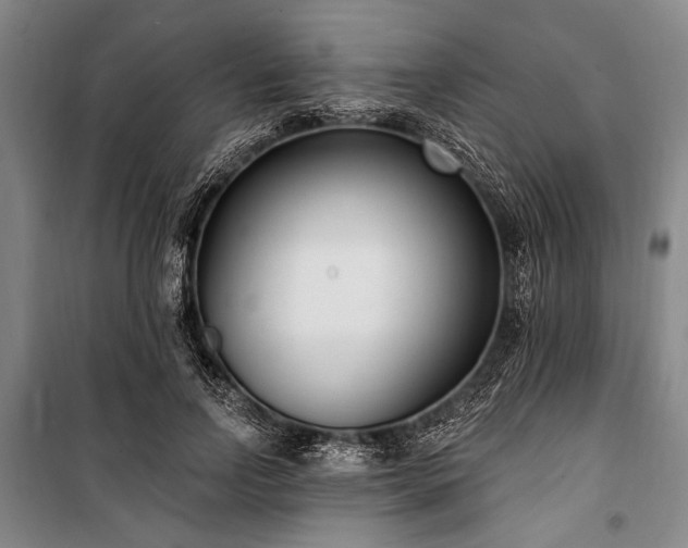 X0000101180742200806271251