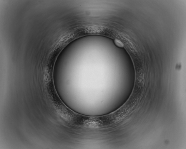 X0000101180743200806271251