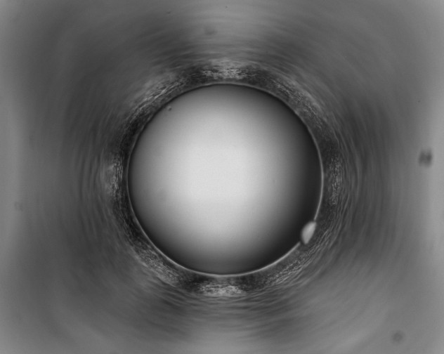 X0000101180747200806271251