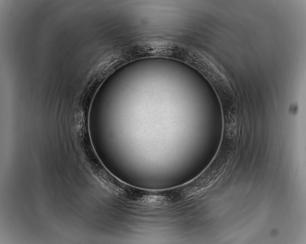 X0000101180748200806271251
