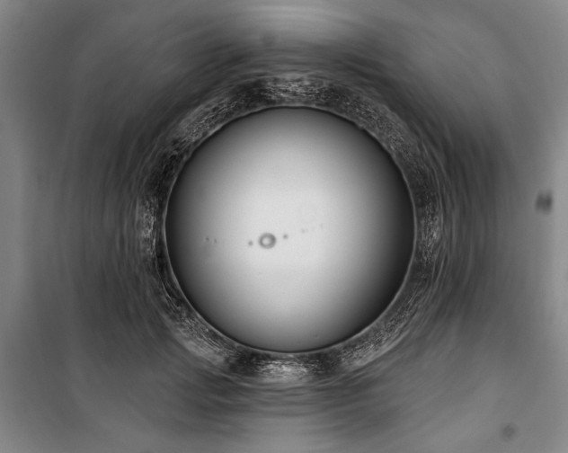 X0000101180749200806271251