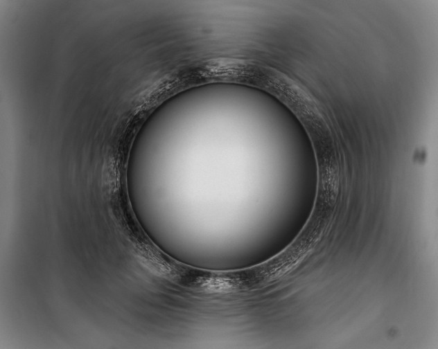 X0000101180751200806271251