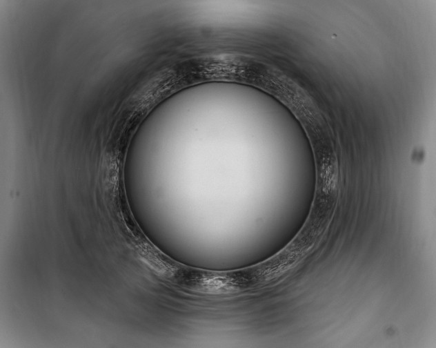 X0000101180753200806271251