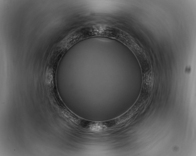 X0000101180754200806271251